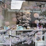 Cherry blossoms display