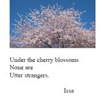 Under the cherry blossoms