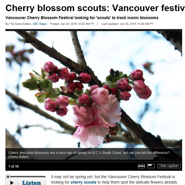 CBC British Columbia January 20, 2015