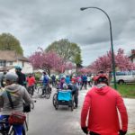20170429_1106_Bike the Blossoms Kanzan Stop 3_ Yaletowner