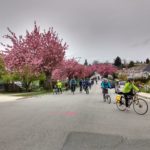 20170429_1106_Bike the Blossoms Midpoint 2_ Yaletowner