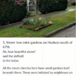5-Street-tree-mini-garden2